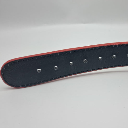 ALPHA NEON® ALPHAK9™ WEIGHTLIFTING BELT DOG COLLAR