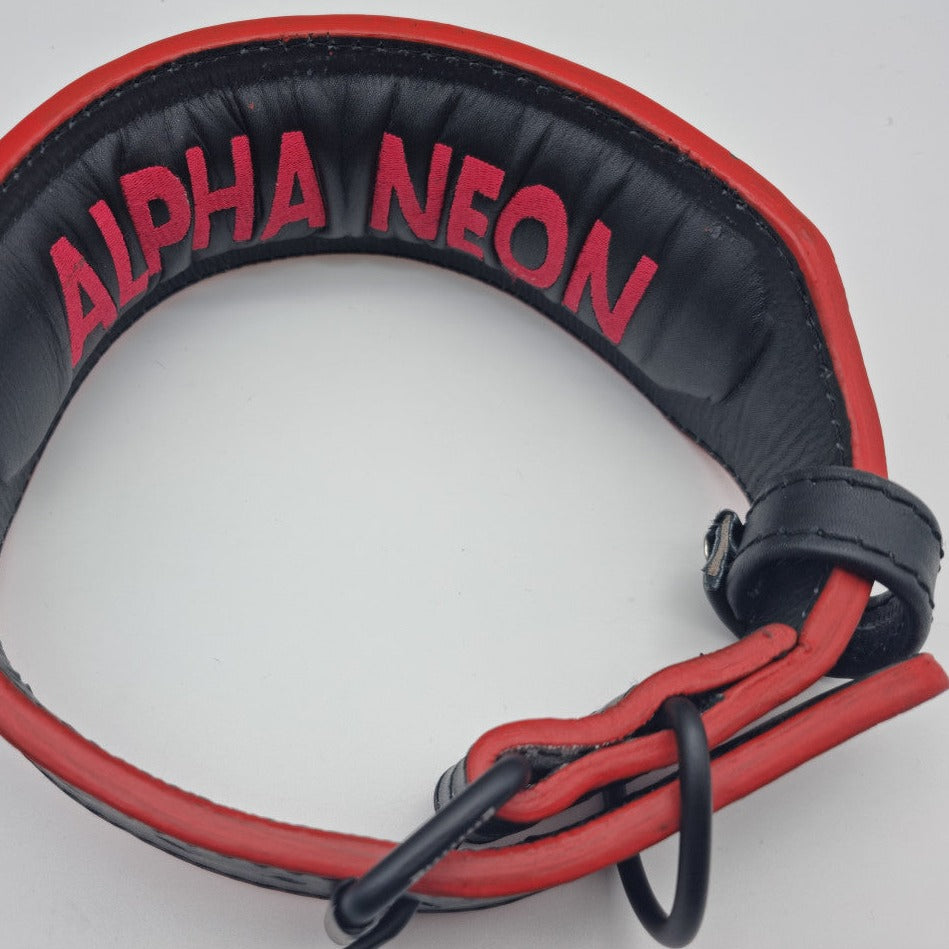 ALPHA NEON® ALPHAK9™ WEIGHTLIFTING BELT DOG COLLAR