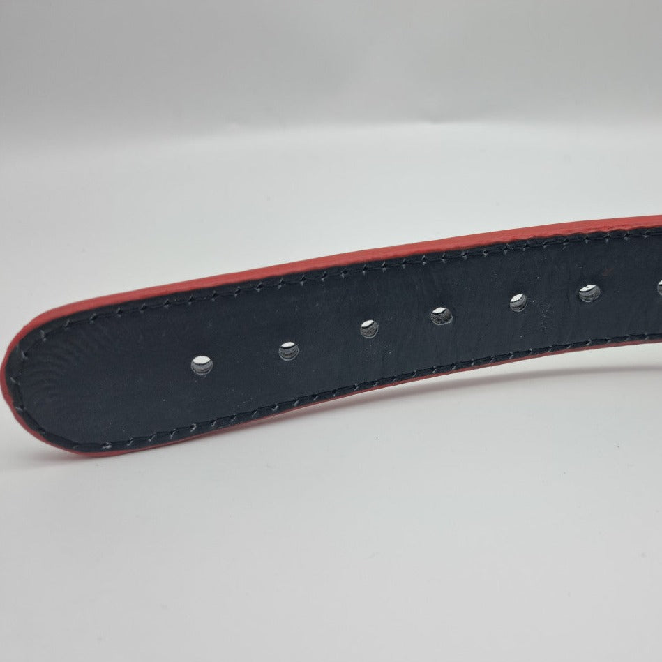 ALPHA NEON® ALPHAK9™ WEIGHTLIFTING BELT DOG COLLAR