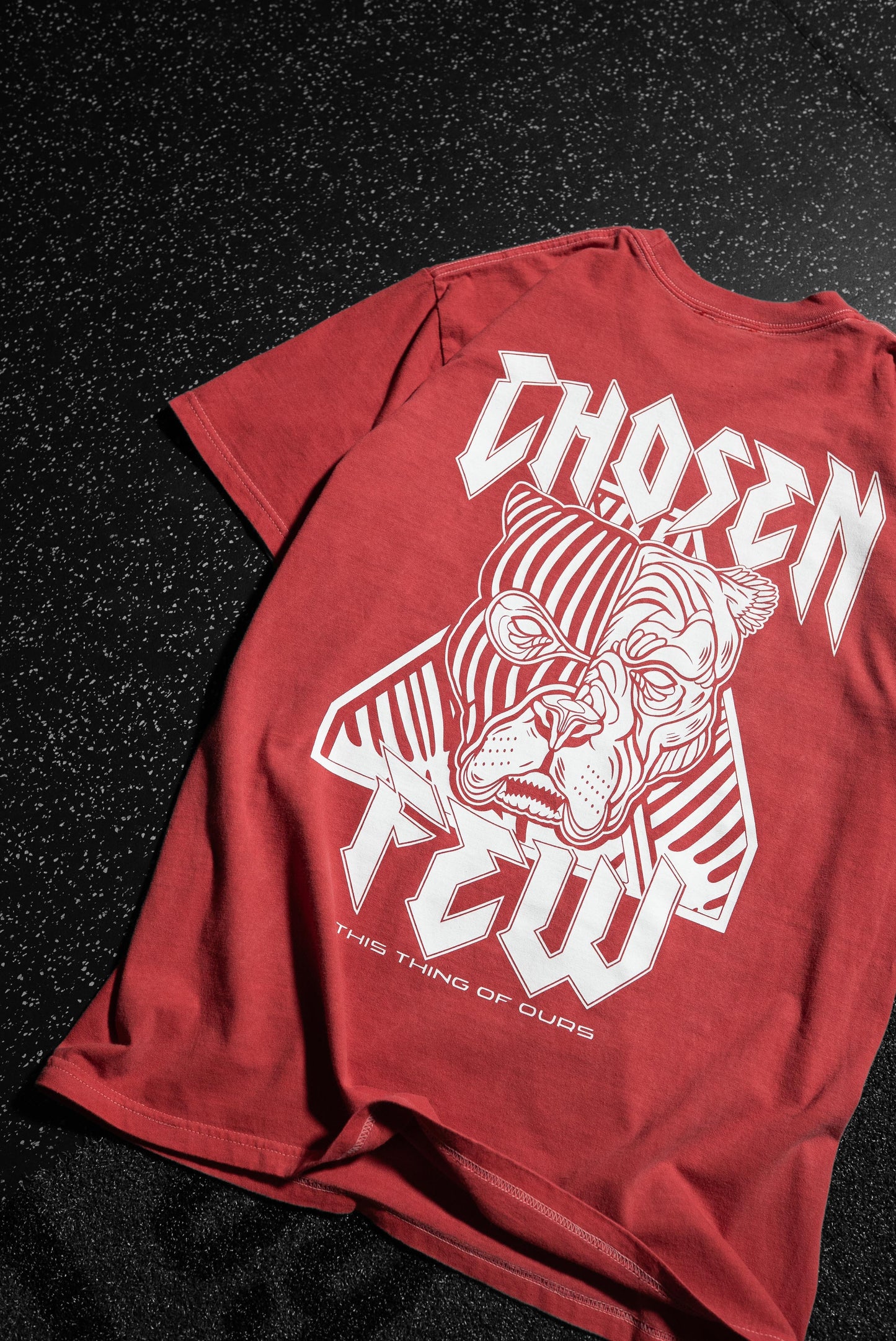 CHOSEN FEW x ALPHA NEON - Vintage Tee