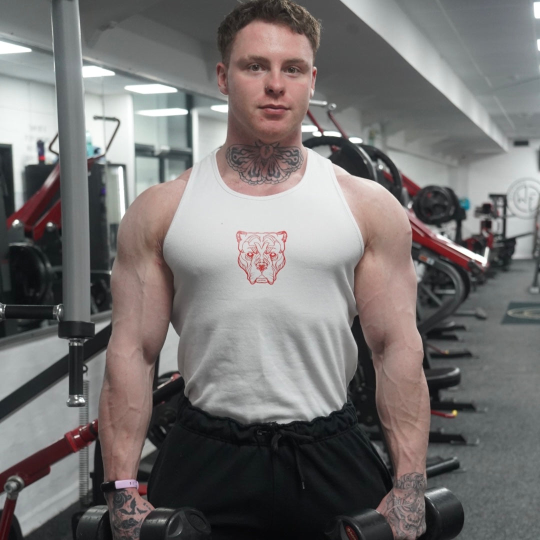 ALPHA NEON®  ICON VEST (TWO PACK)