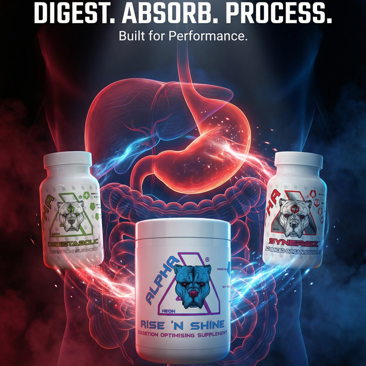 Digest//System™ Gut & Organ Support Stack – Alpha Neon