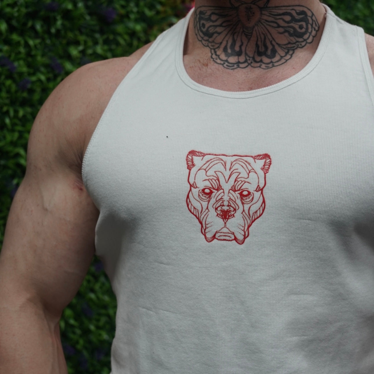 ALPHA NEON®  ICON VEST (TWO PACK)