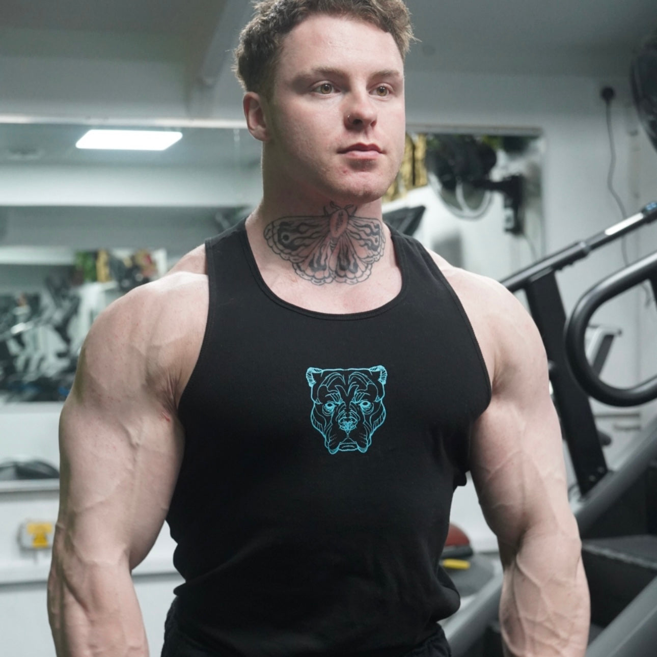 ALPHA NEON®  ICON VEST (TWO PACK)