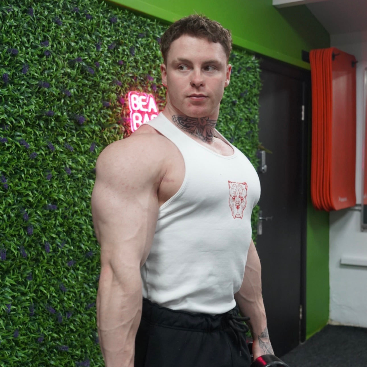 ALPHA NEON®  ICON VEST (TWO PACK)