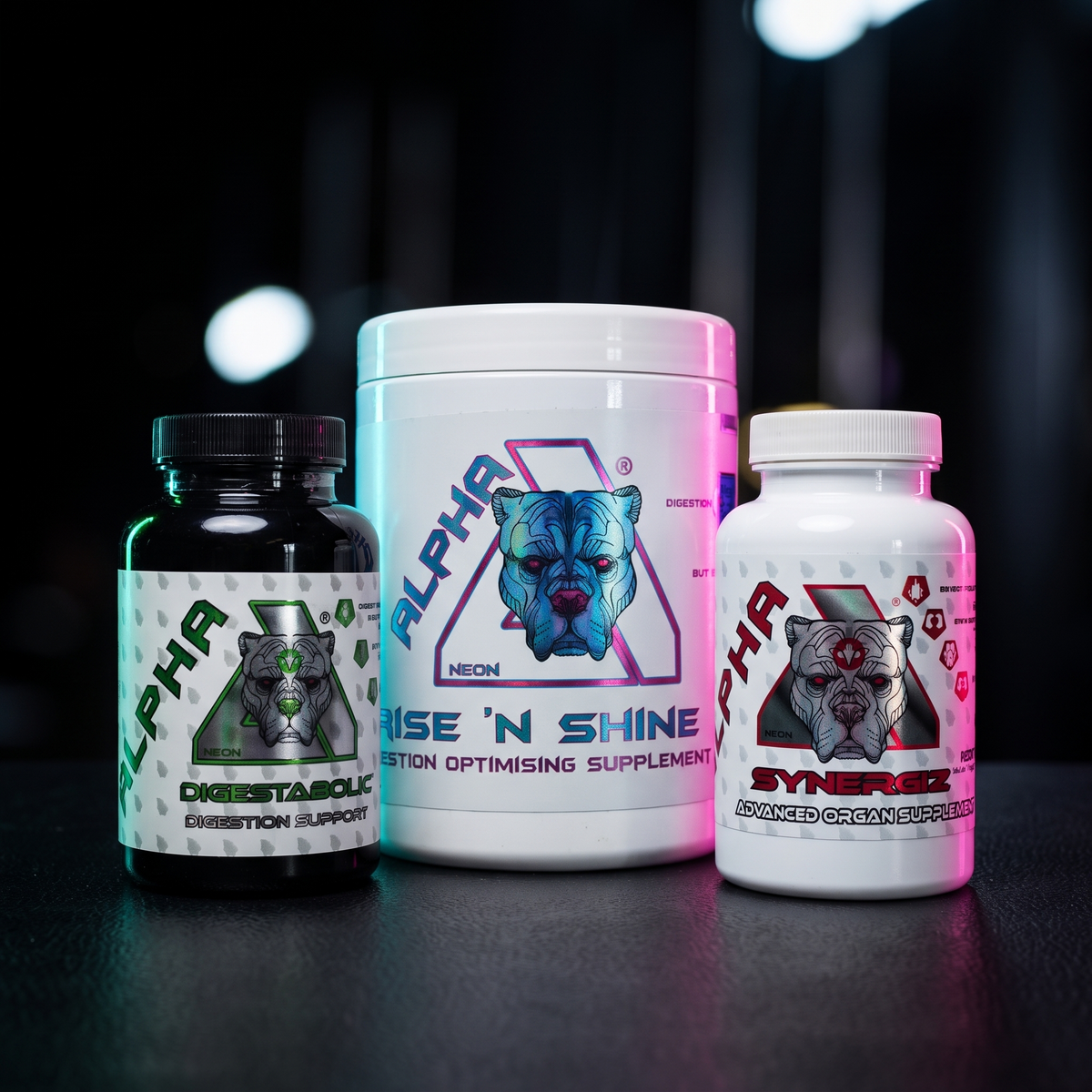 Digest//System™ | Digest • Absorb • Process