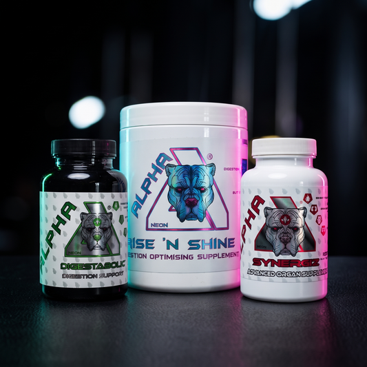 Digest//System™ | Digest • Absorb • Process
